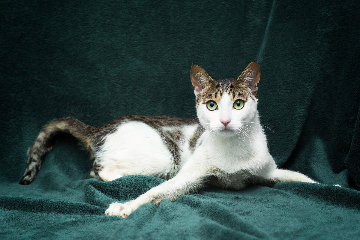 Та самая, первая фотосессия