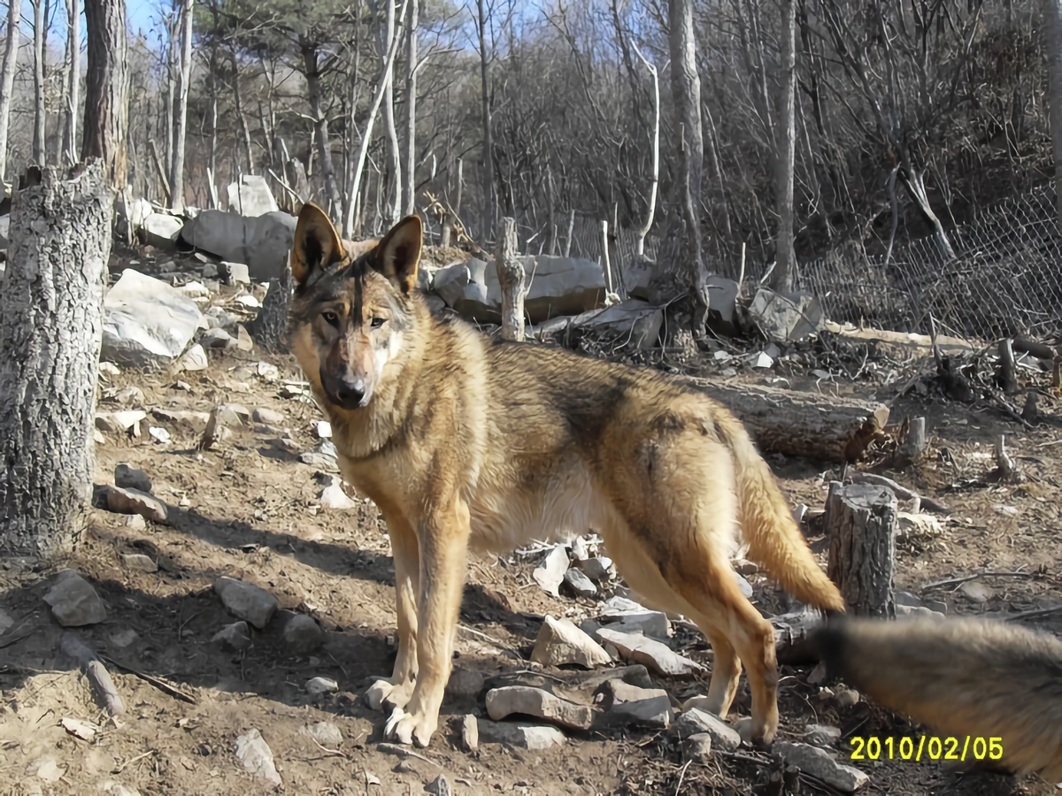 Фотография: Venpia, CC BY-SA 3.0