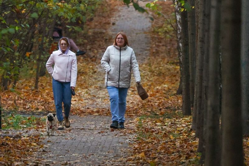    Наталья Шатохина/NEWS.ru