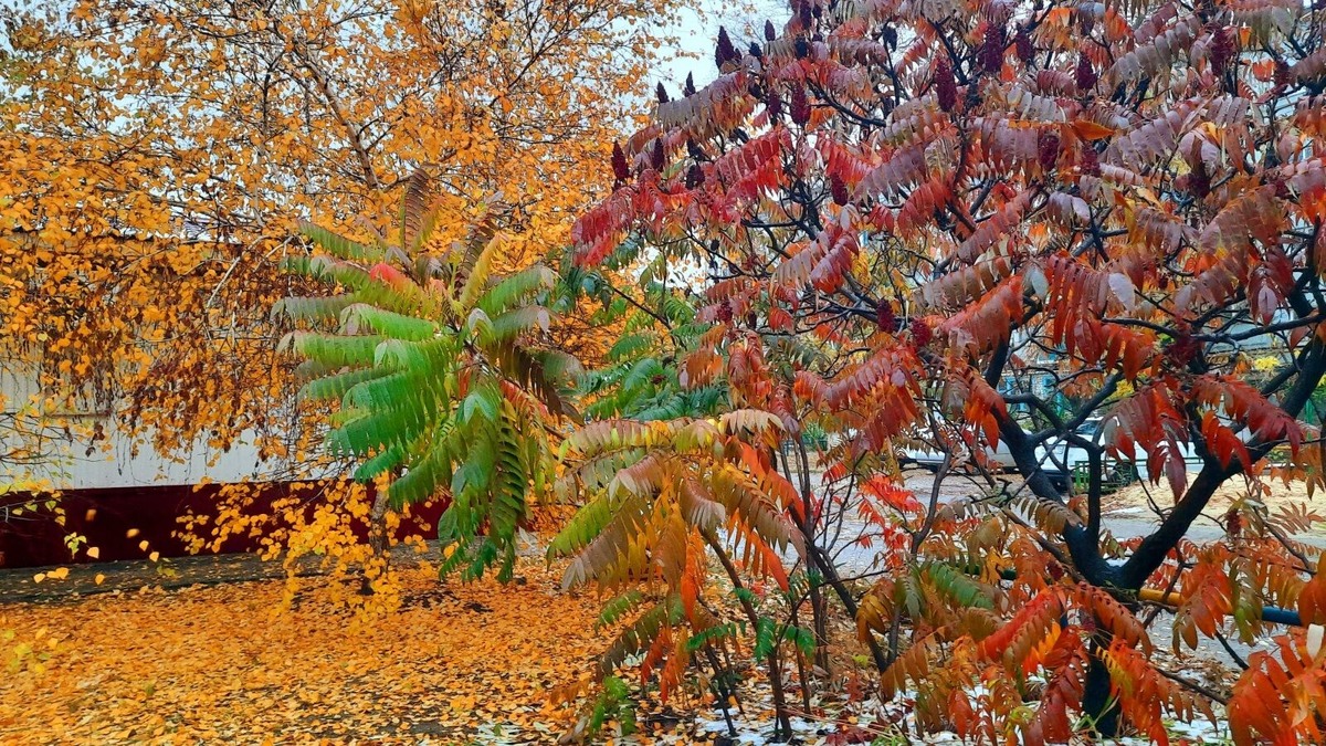 Фото автора