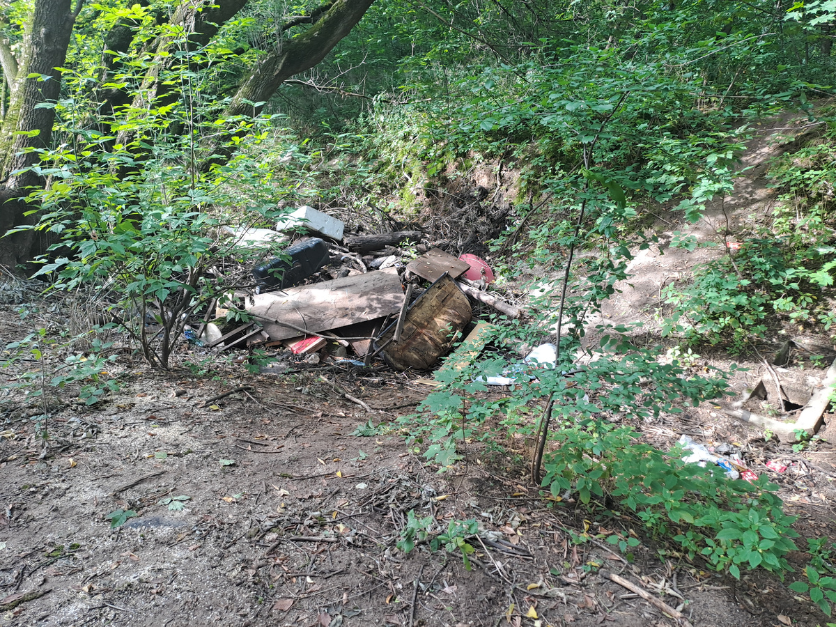 Так было 22 августа 