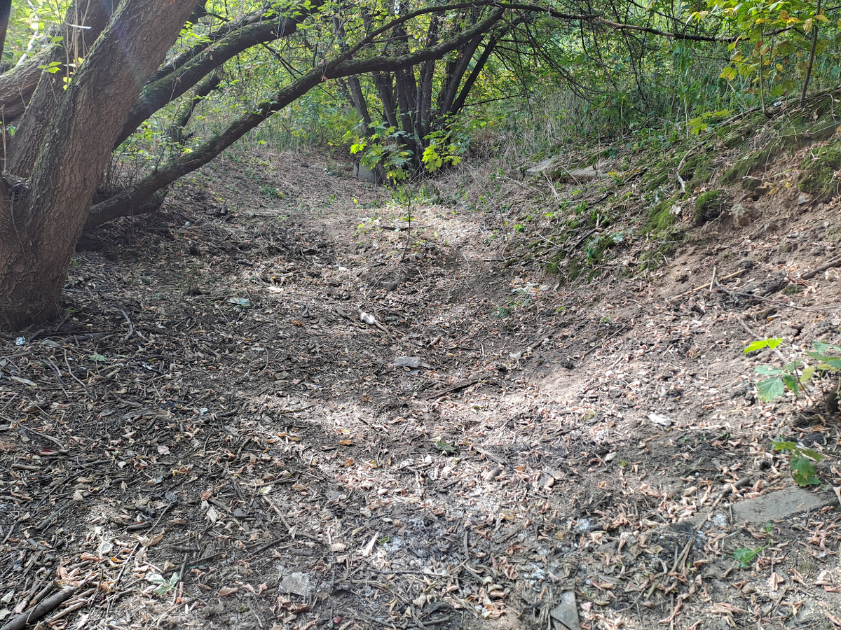 Так было 18 сентября