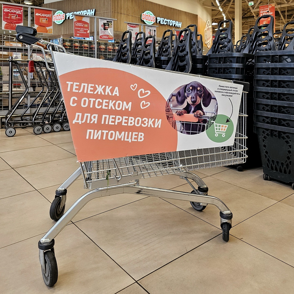 Тележка с отсеком для перевозки питомцев. Фото из личного архива