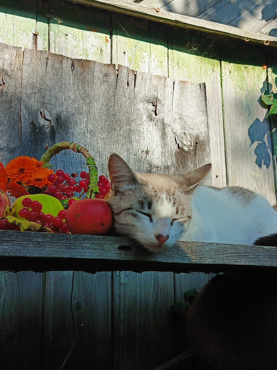 Фото автора