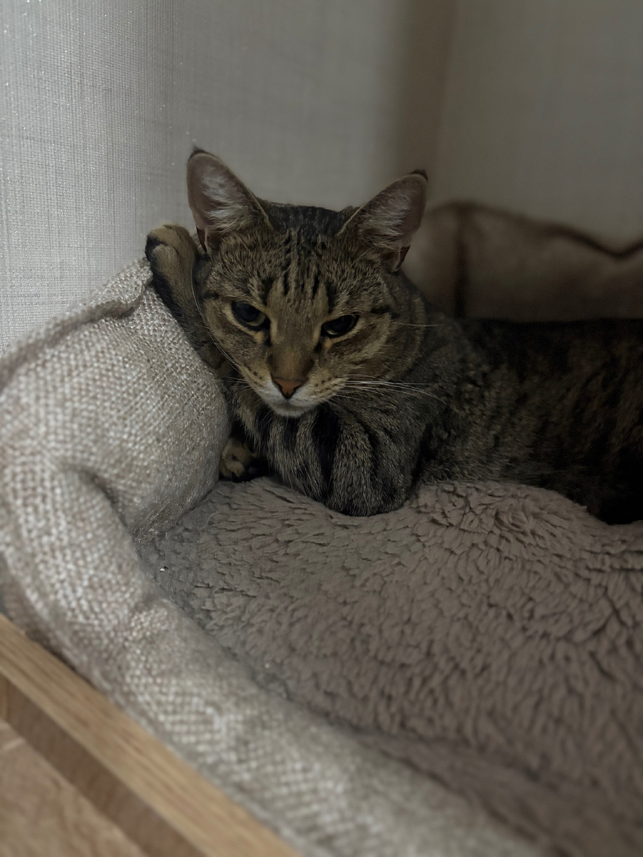 Вернись, большой человек🤍