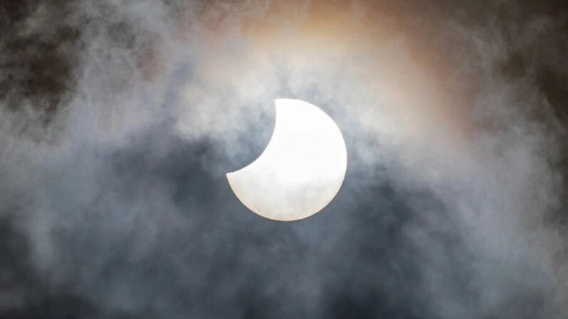    Фото: Daverse/Shutterstock/Fotodom