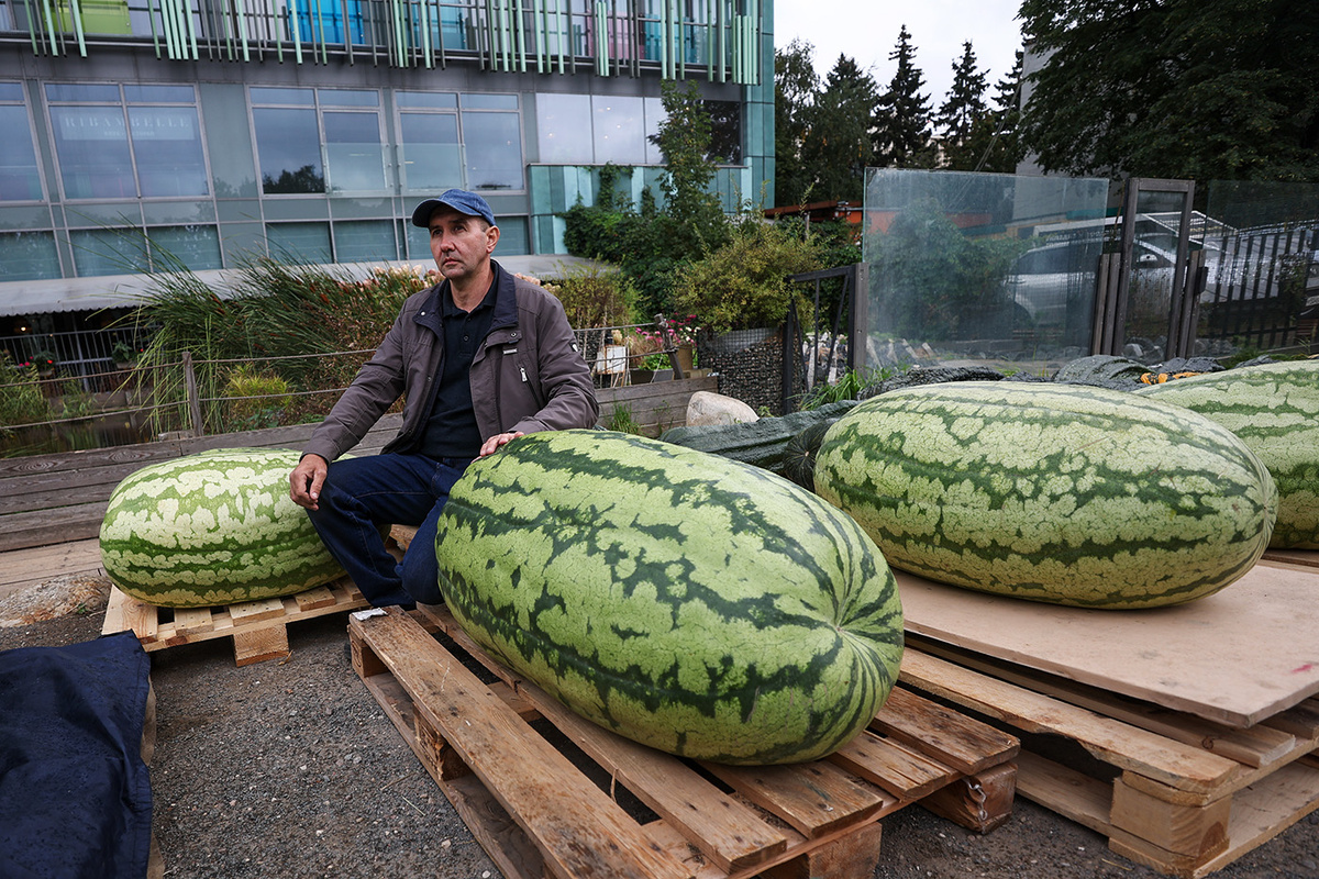   Софья Сандурская / ТАСС