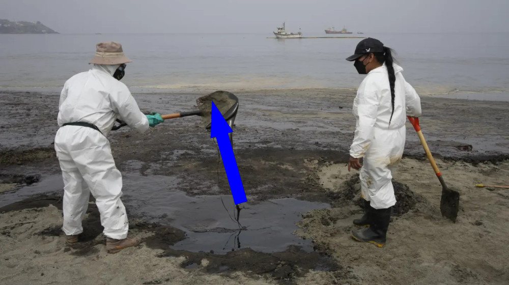    Как Диклофенак обернулся бедствием для Индии и что это значит для мира