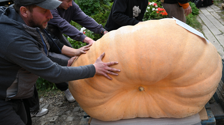    Фото: © РИА Новости/Алексей Филиппов; 5-tv.ru