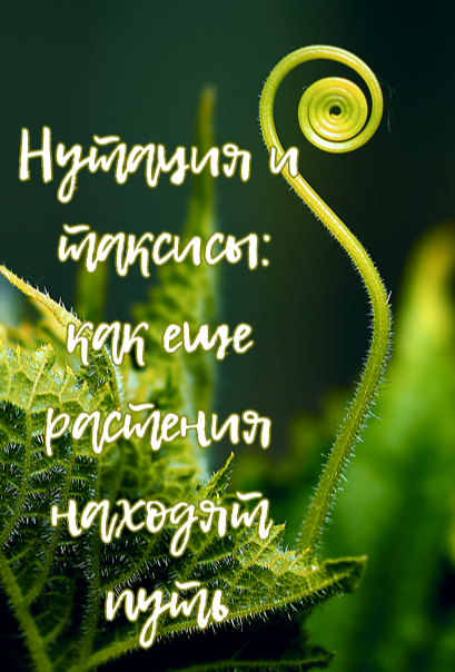 Фото для обложки