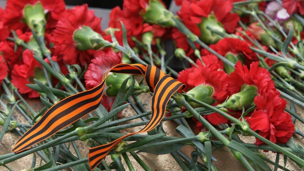    Фото: Aleksey Smyshlyaev/Global Look Press