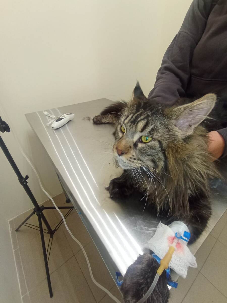 Личное фото