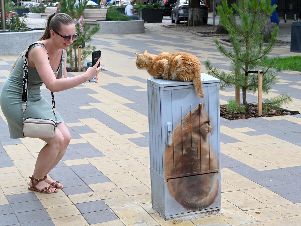    Девушка фотографирует кота на Курортном проспекте в Зеленоградске Калининградской области© РИА Новости / Владимир Федоренко