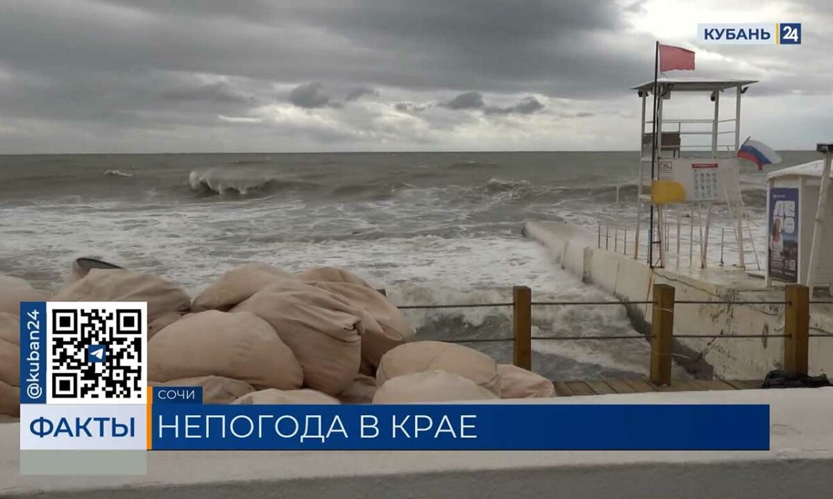    Видео канала «Кубань 24»