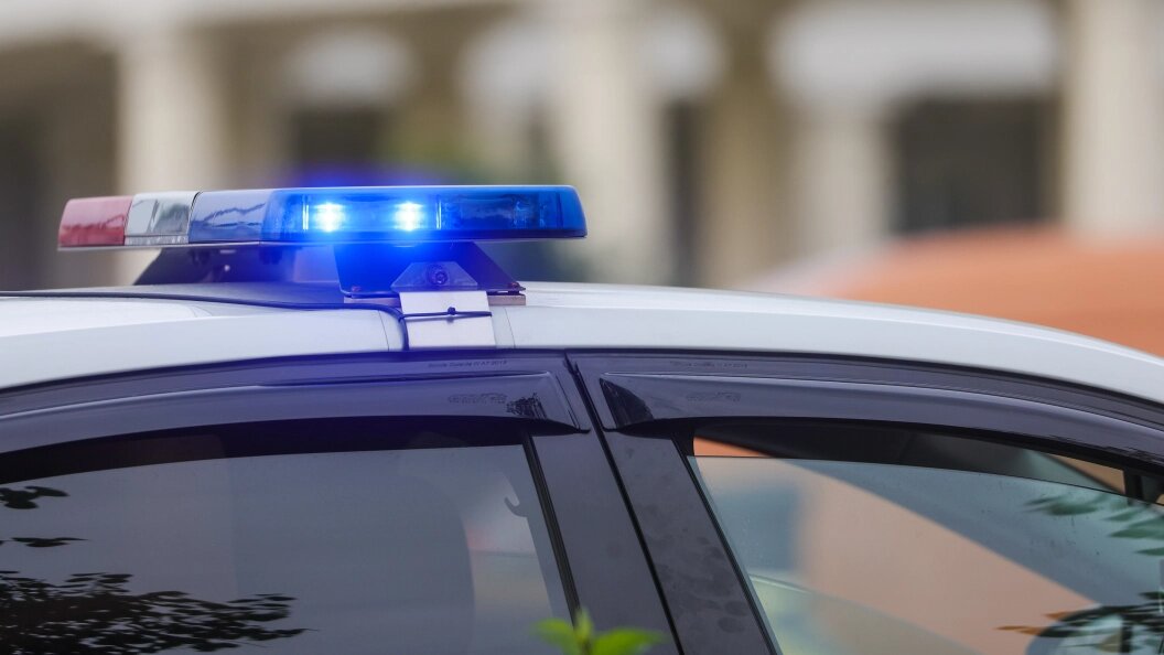    Фото: Nikolay Gyngazov/Global Look Press/Globallookpress