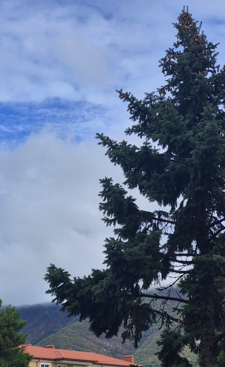 Осенние дожди🤍