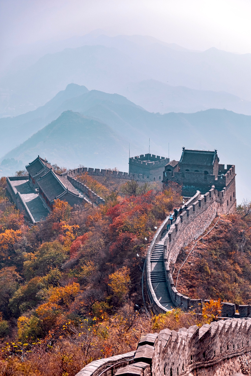 Автор: Алексей Моисеев / @partyzzzan