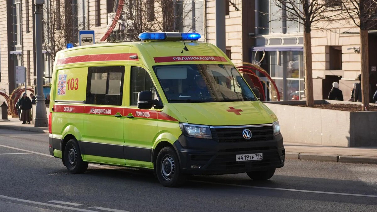    Фото: ИЗВЕСТИЯ/Эдуард Корниенко