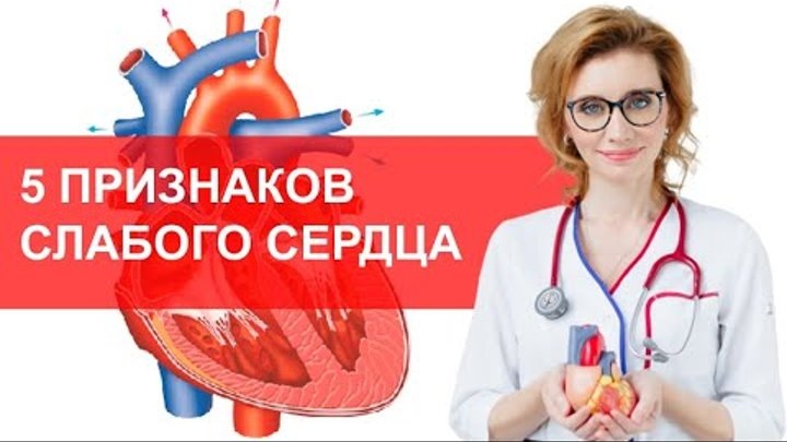 Сердце в опасности: 5 признаков, что пора к врачу
