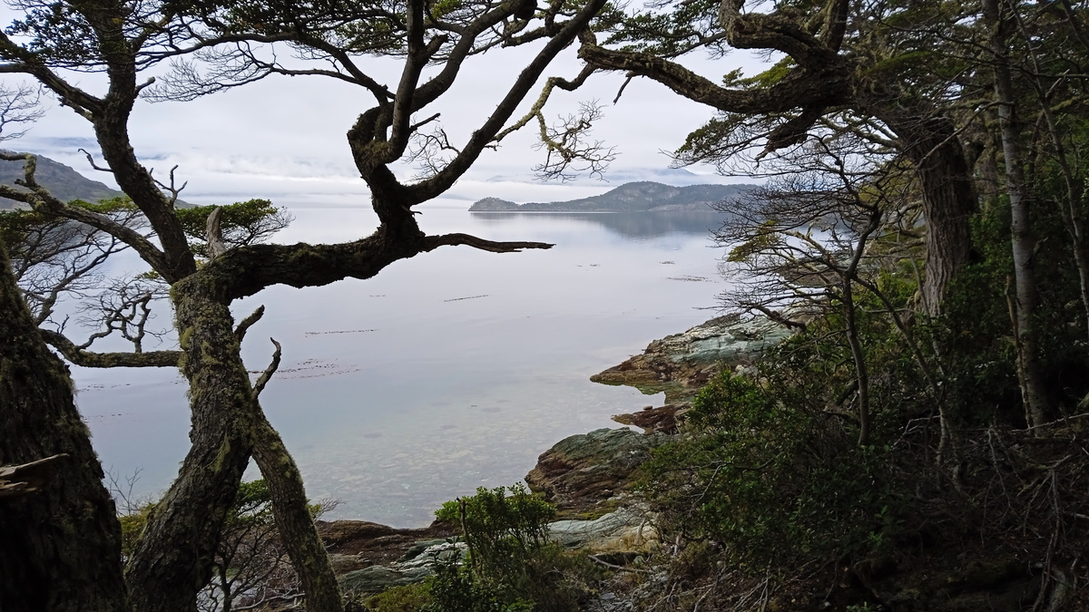 Парк Огненная Земля, г.Ушуайя, Аргентина