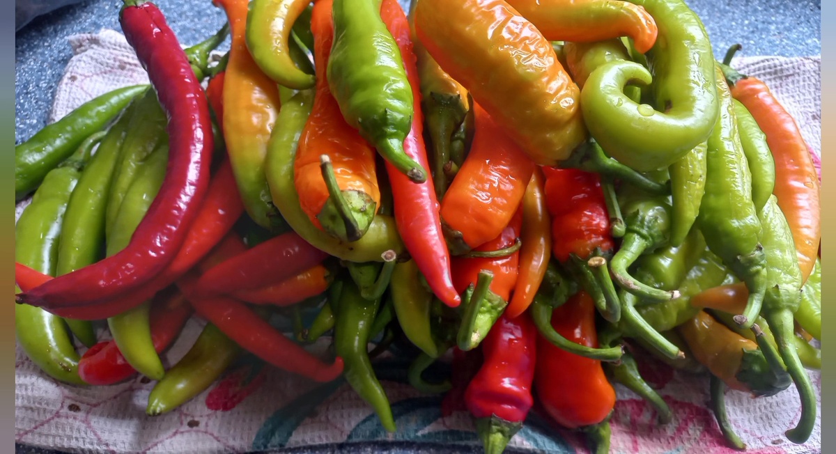 Все фото и видеоматериалы в статье сделаны автором и принадлежат ему на условиях авторского права © 