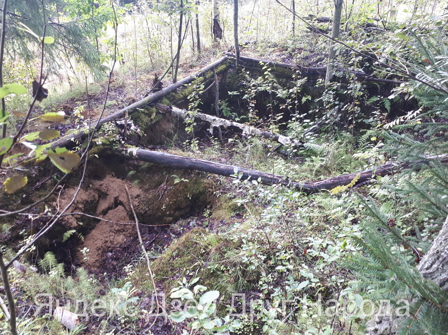 Финские окопы. Фото автора