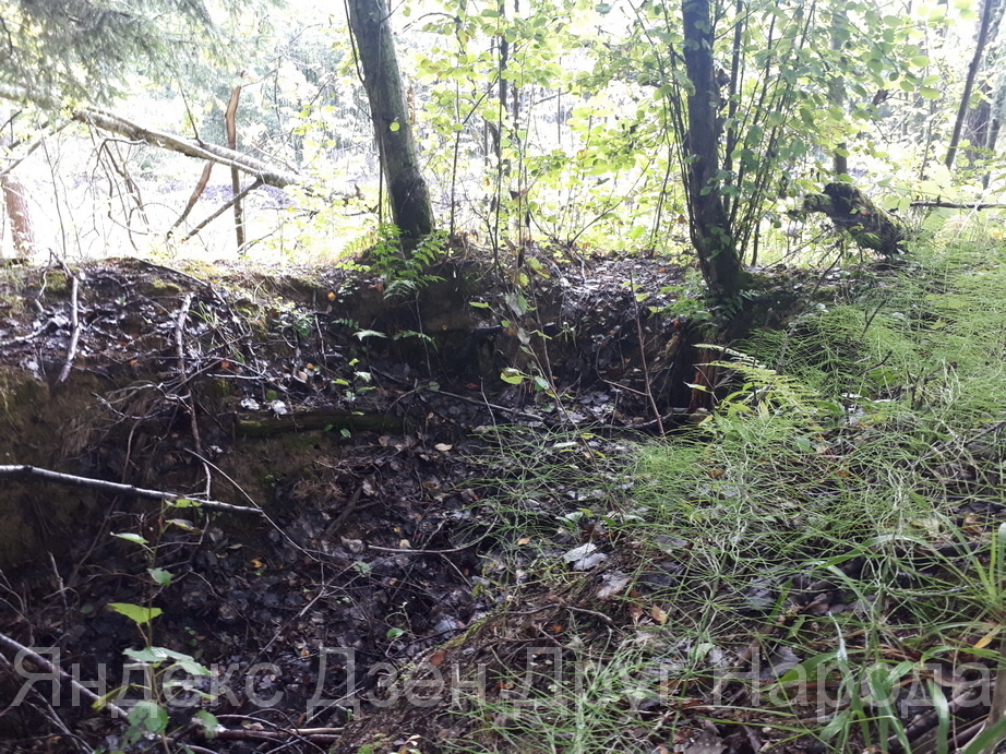 Финские окопы. Фото автора