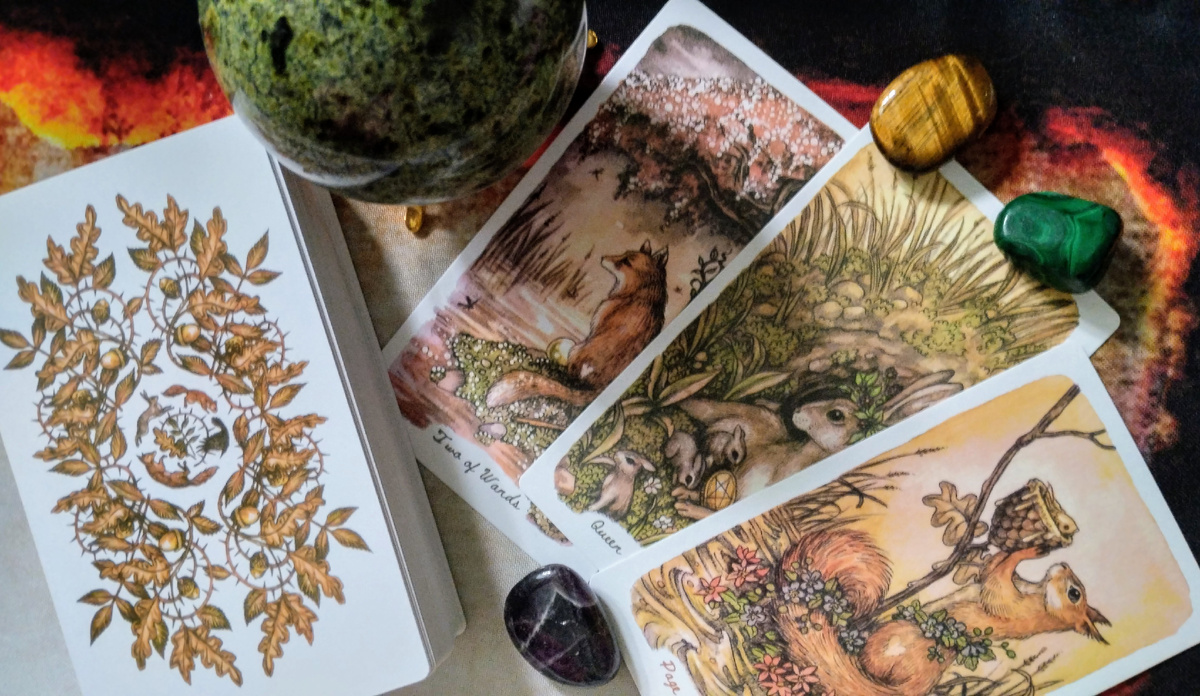 Фото автора.