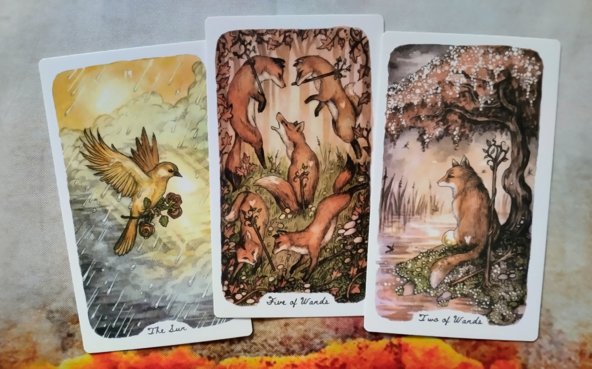 Фото автора.