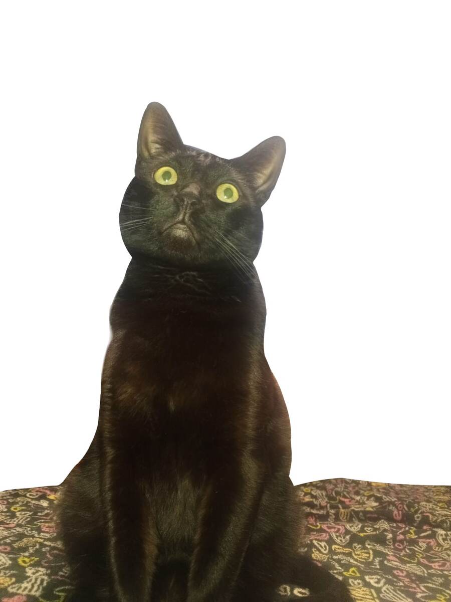 Слушаю вас.