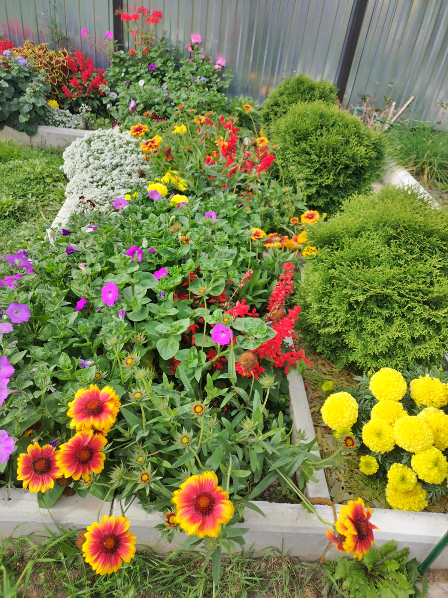 Дачные клумбы. 