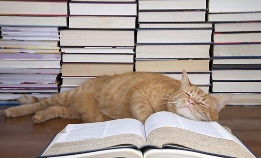 Читать - это вам не мешки ворочать