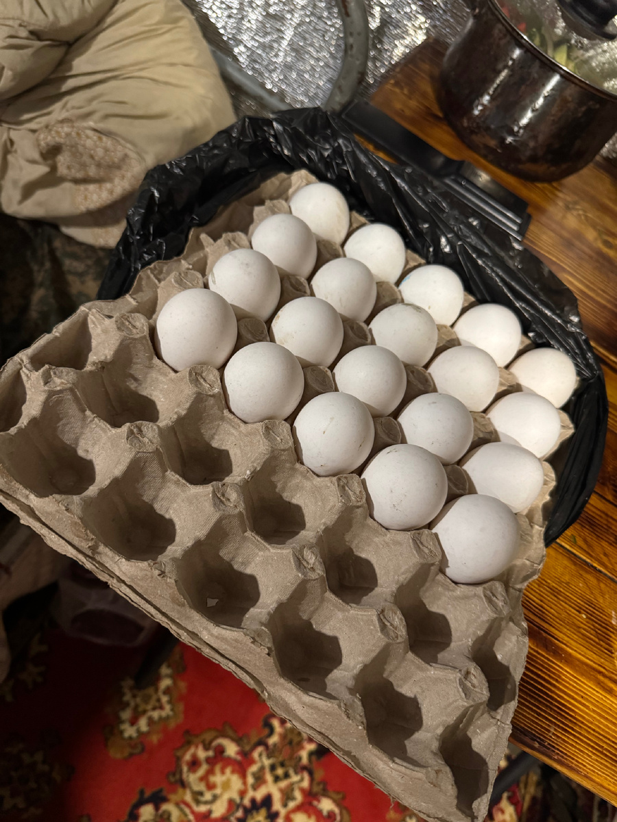 Куриные яйца