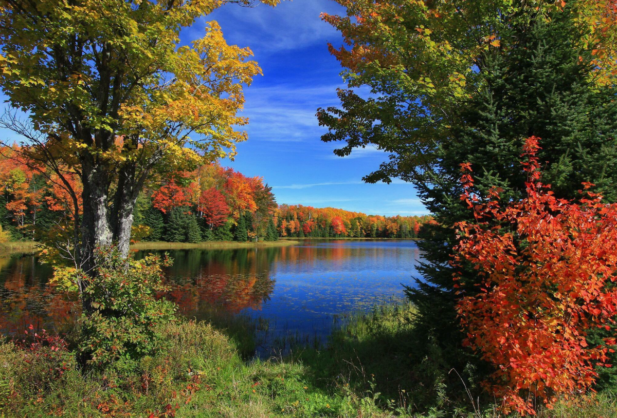 Обзор главных событий недели: акции дешевеют, допэмиссия акций ВТБ, ставки по ипотеке и инфляционные ожидания снижаются,размещения облигаций