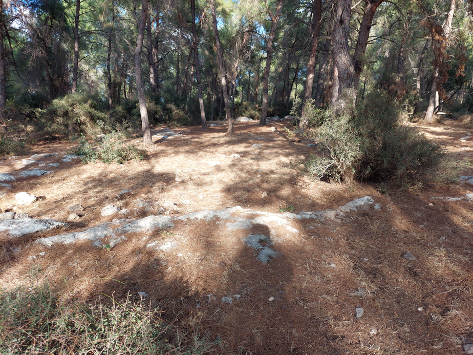 Окрестности Назарета. Очертания стен и фундаменты античного города на горе Шимшит. 