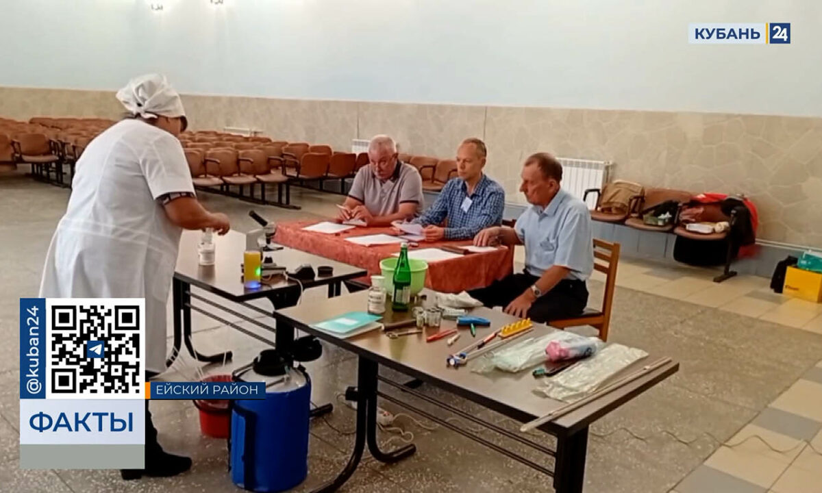    Видео канала «Кубань 24»