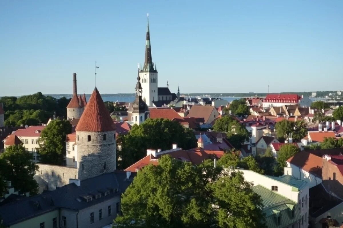    МИД Эстонии вызвал дипломата РФ из-за якобы «вторжения» российских МиГ-31