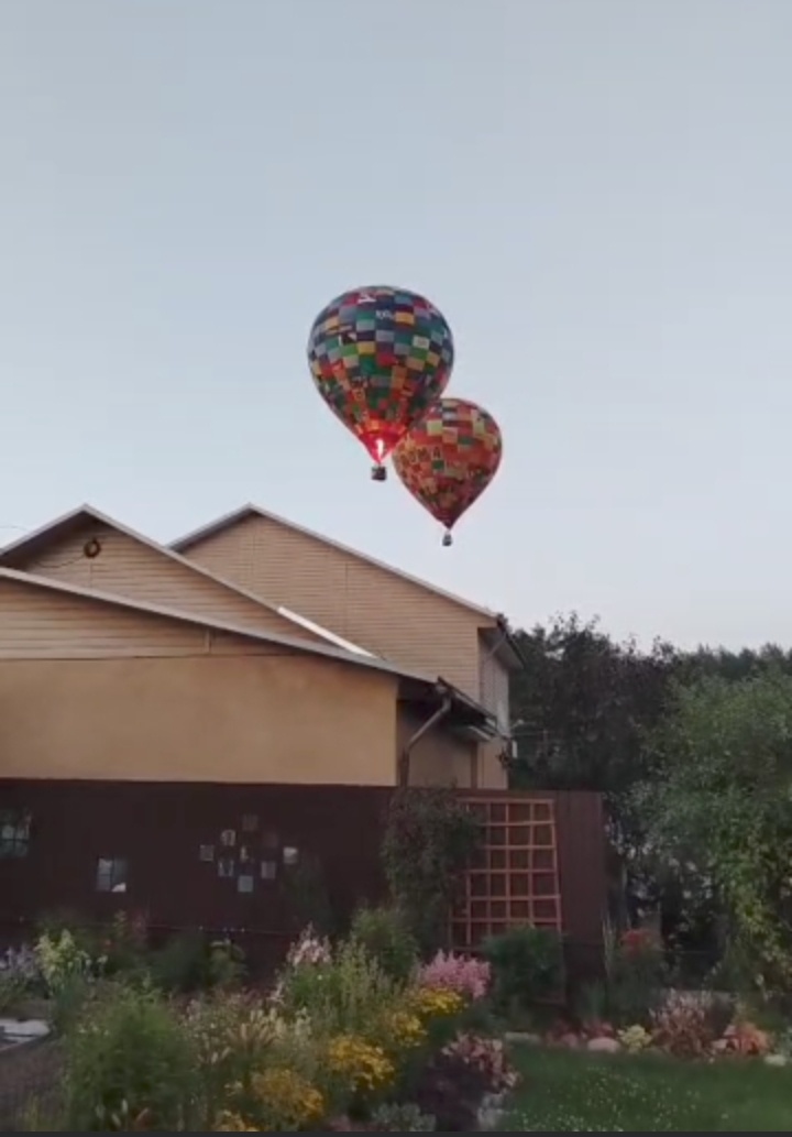 Лес видно с моего крыльца 