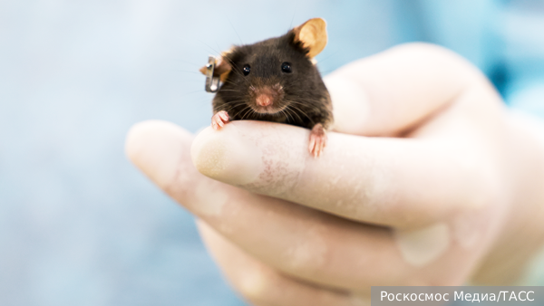     Фото: Роскосмос Медиа/ТАСС   
 Текст: Денис Тельманов