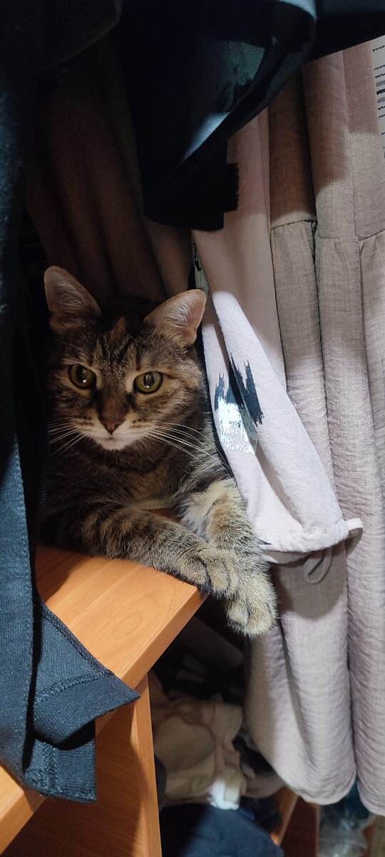 Стережет мои платьЯ. Потому как мало ли что.