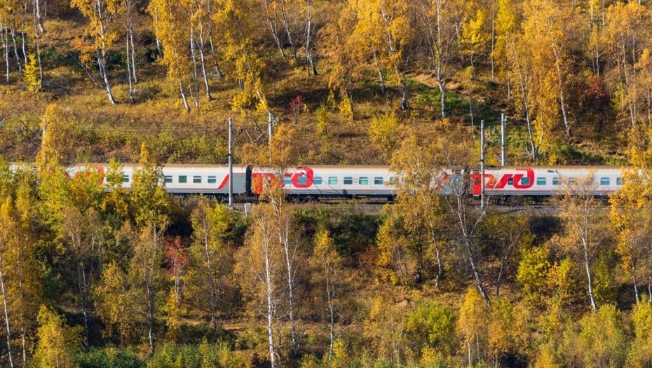    Автор фото: t.me/telerzd