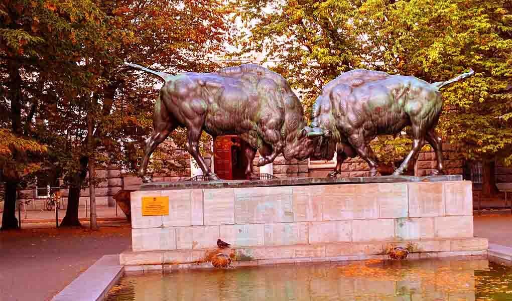 Скульптура Августа Гуаля «Борющиеся зубры». Калининград