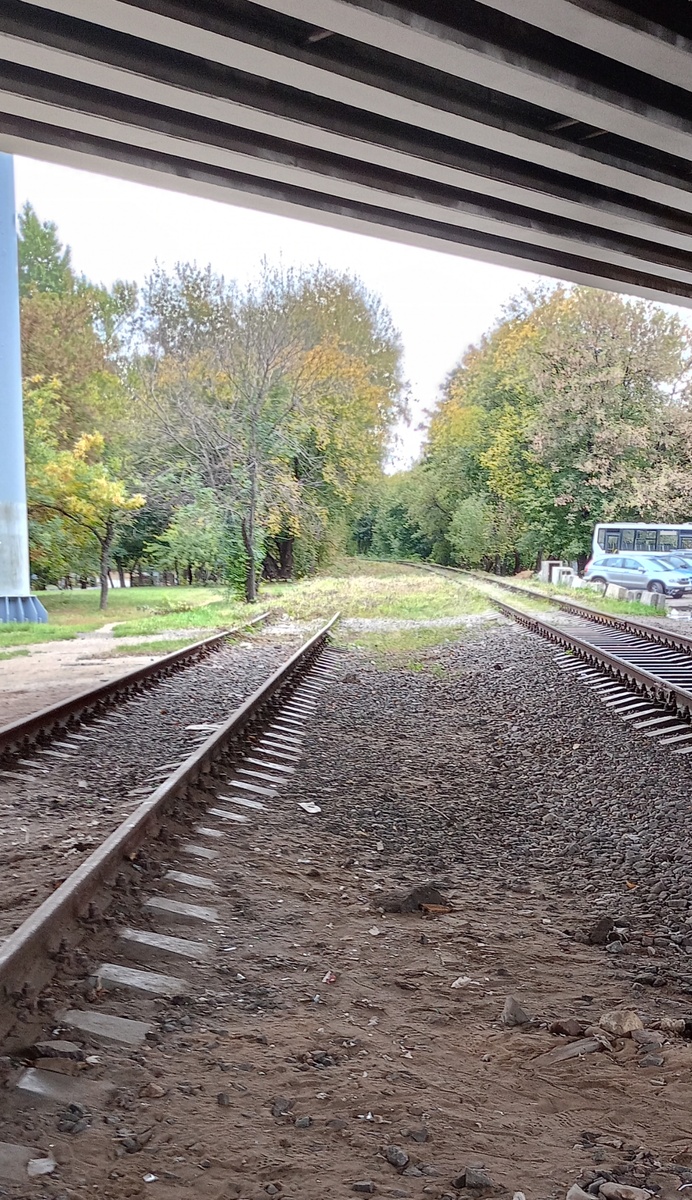 Фото автора. 