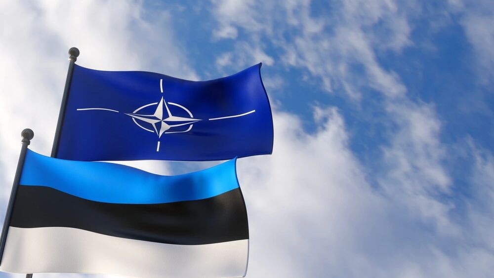    Фото: Fly Of Swallow Studio/Shutterstock/Fotodom