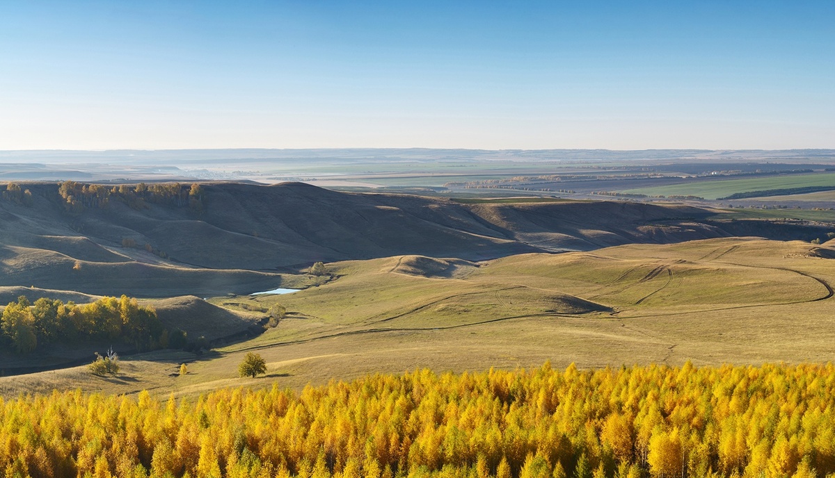 Автор фото:  Андрей Артис