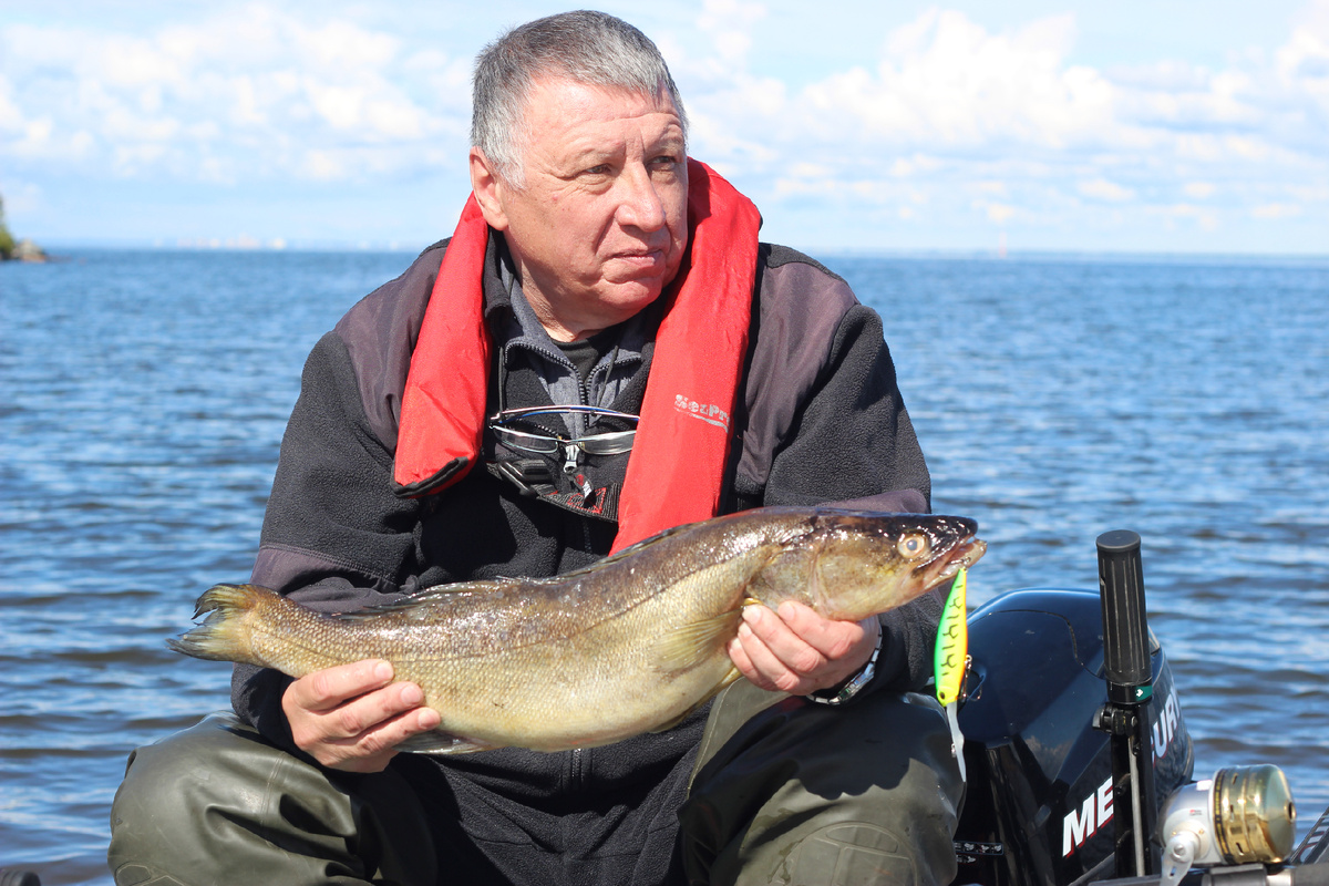 фото: Андрей Спирин