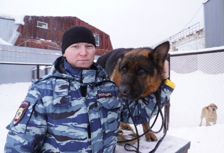 Егор Волков