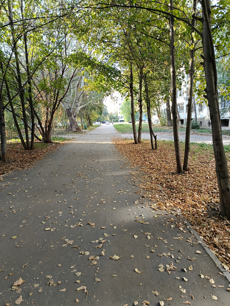 Осень началась