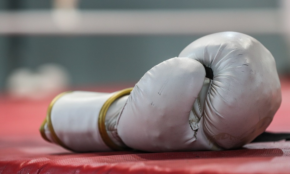    Боксера успели привезти в больницу, о не спасли. Фото: соцсети