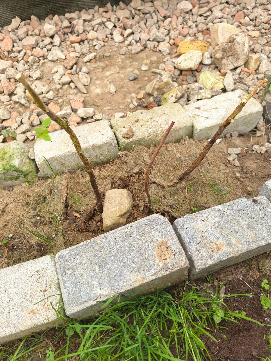 Гордость России